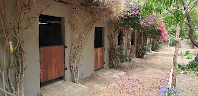 PINE RIDGE EQUESTRIAN CENTRE