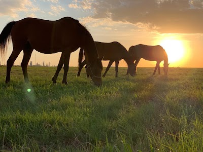 Sasolburg Ruiterklub