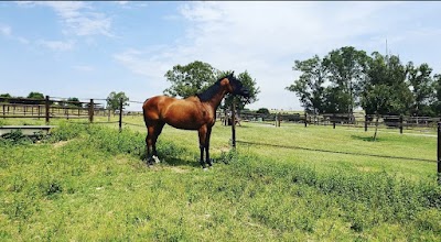 Bilavadu Equestrian Centre