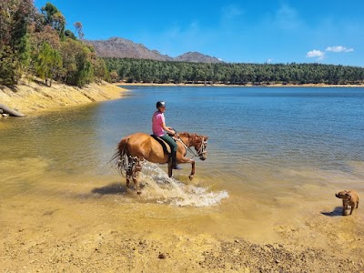 HooF-iT Horse Fitness