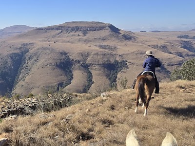 Liversage Horse Trails