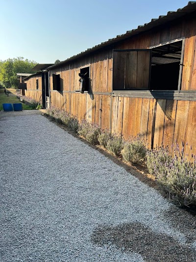 Maxim's Equestrian Centre