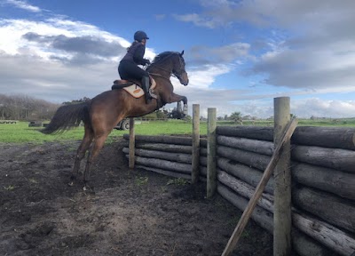 Vaderlandsche Rietvlei Stables