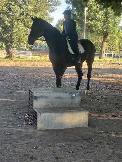 Tannenhof Stud and Equestrian Center