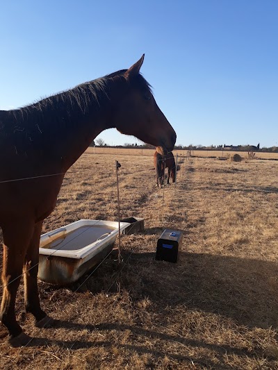 Hilltop Equestrian Centre