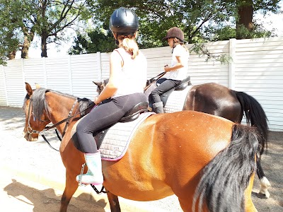 Vaal Equestrian Horse Riding Center