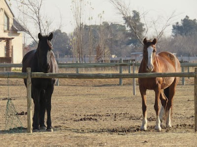 Firstride Riding School