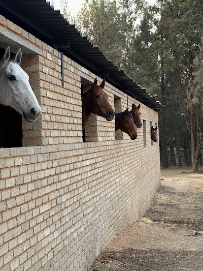 Valley View Equestrian