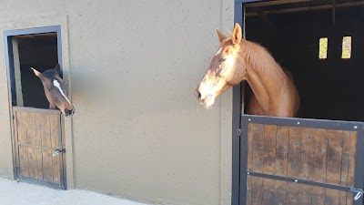 Stal Blommehof - Private Equestrian Estate