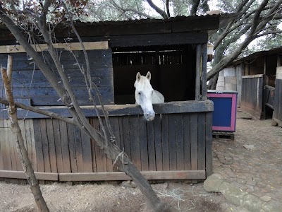 Peppermint Park Horse Riding School