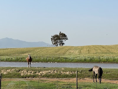 Allemanskloof Farm