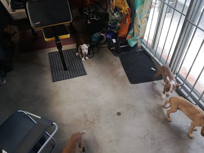 F M Stables And Horse Feed