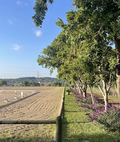 Stoneridge Equestrian