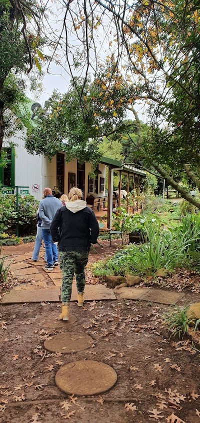 CowPaddy Horse Outrides