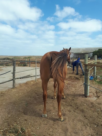 Drikus Horse Trails Paternoster