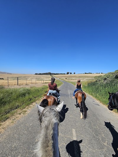 Mountain View Horse Trails