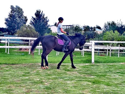 Equivient Stable Yard