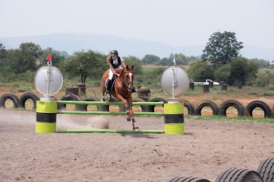 MAESTRO Equestrian Centre