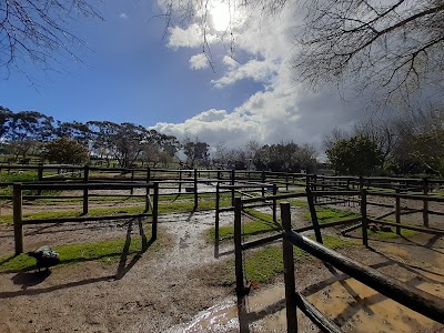 Alba Equestrian Centre, Vissershok Road, Cape Town