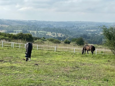 Rohan Equestrian Services