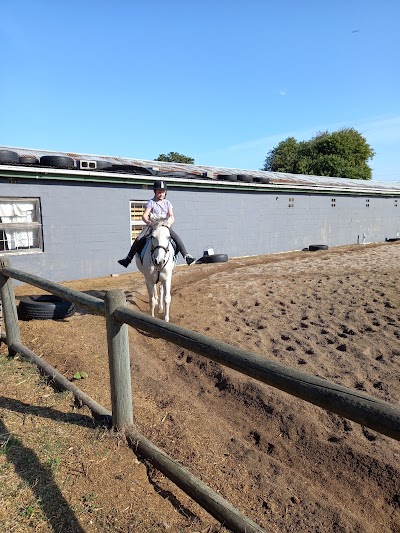 Milnerton Riding School & Livery Yard