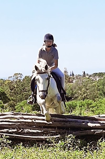Beacon Bay Horse Riding School