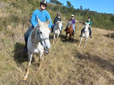 Equine Encounters and Trail Rides