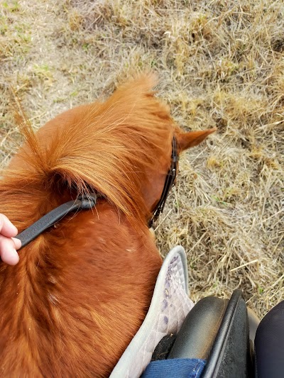 Rifkin Riding School
