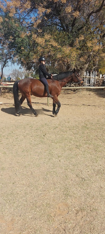 AHFS (African Horse Fly Spray)