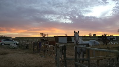 Bella Valle Equestrian