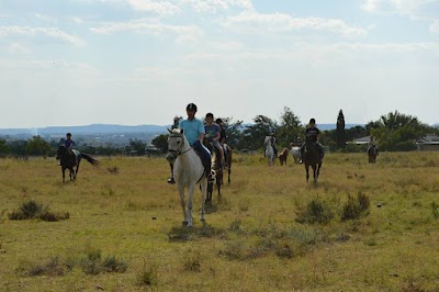 Ansley Equestrian Centre