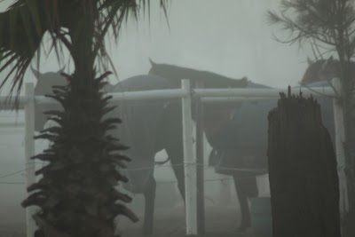 Hoofprints Livery and Riding School