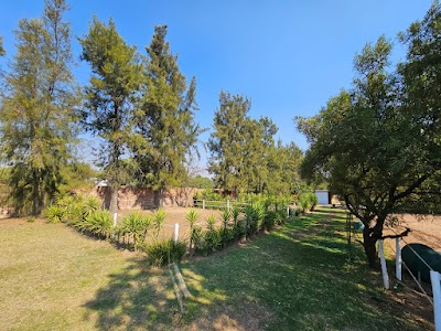 Reign Equestrian Centre