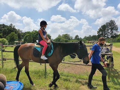 Honeydew Equestrian Centre